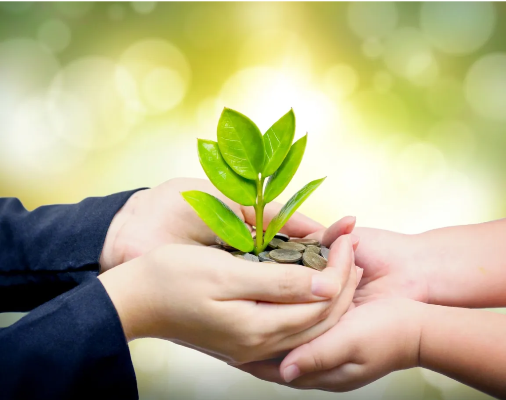 content creator project (2)